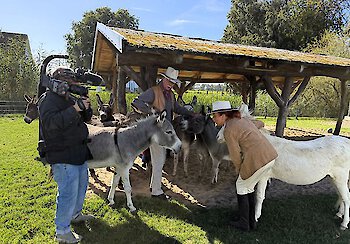 Der NDR auf der Ballermann Ranch